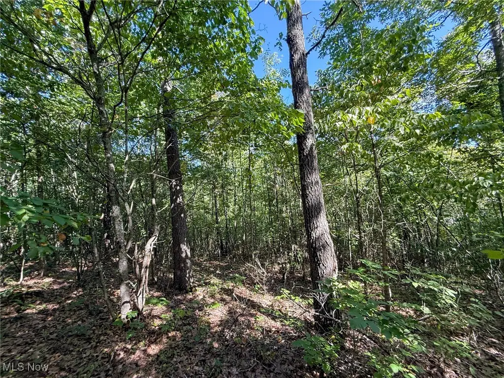 Mudsoc Rd, Patriot, OH 45658 - Image #1