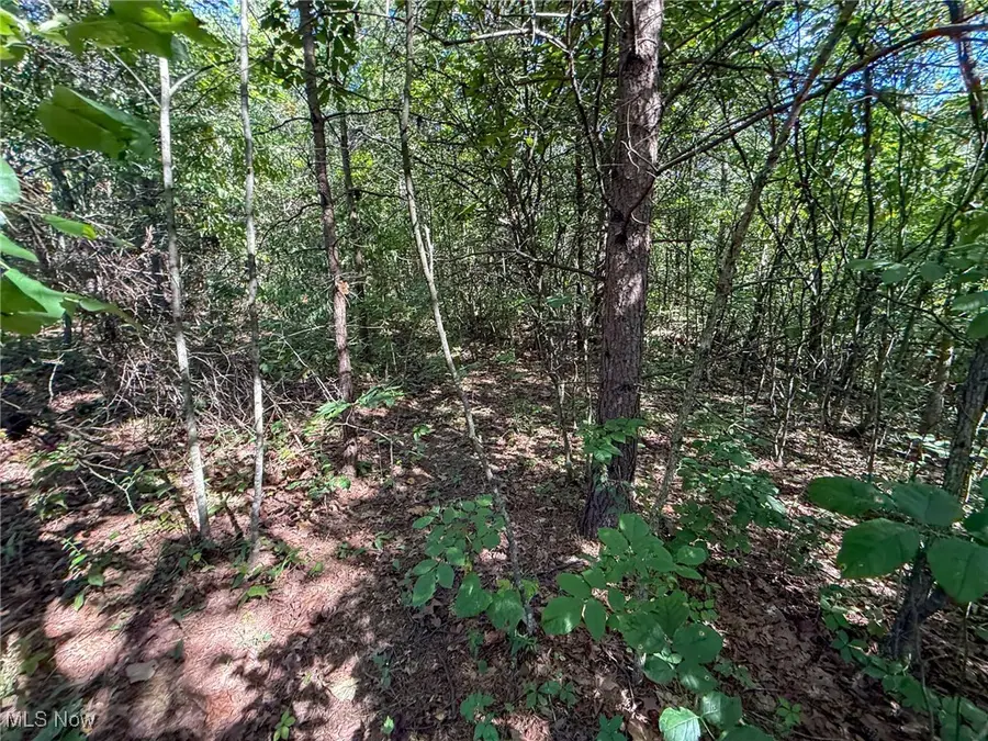 Mudsoc Rd, Patriot, OH 45658 - Image #3