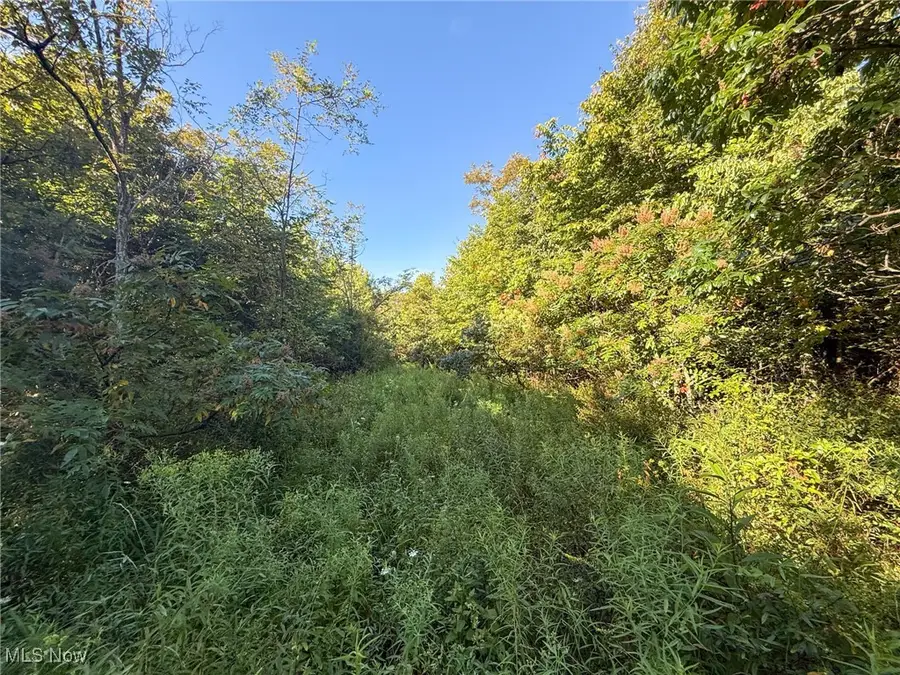 Mudsoc Rd, Patriot, OH 45658 - Image #2