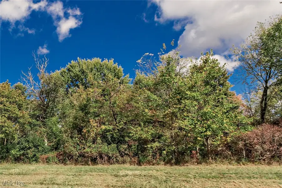 V/l Schady Road, Olmsted Township, OH 44138 - Image #2