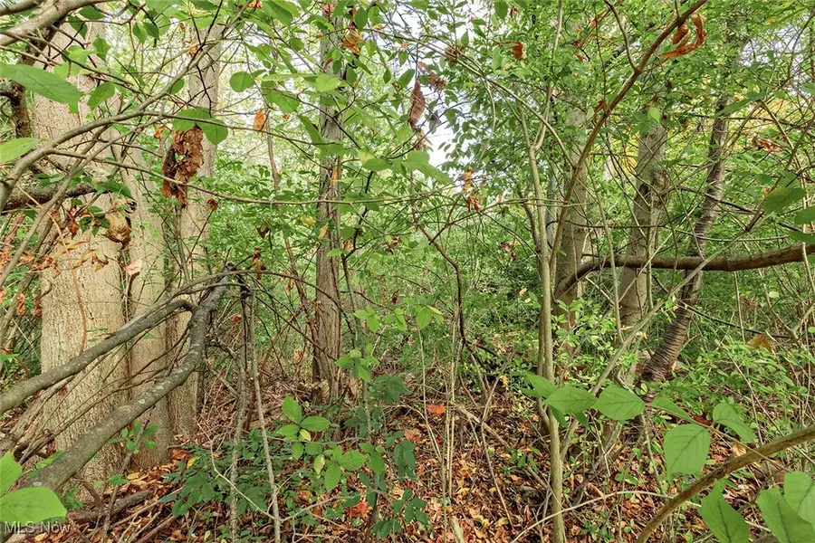 V/L Usher Road, Olmsted Township, OH 44138 - Image #3