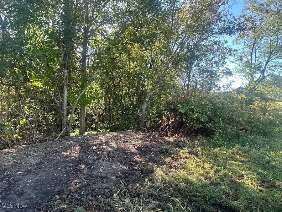 Fairmont Street, Barnesville, OH 43713 - Image #2