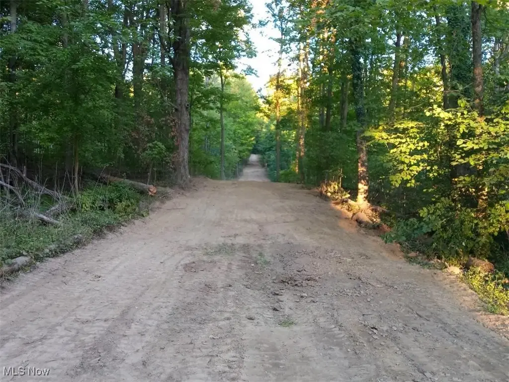 8123 Vandemark Road, Lodi, OH 44254 - Image #1