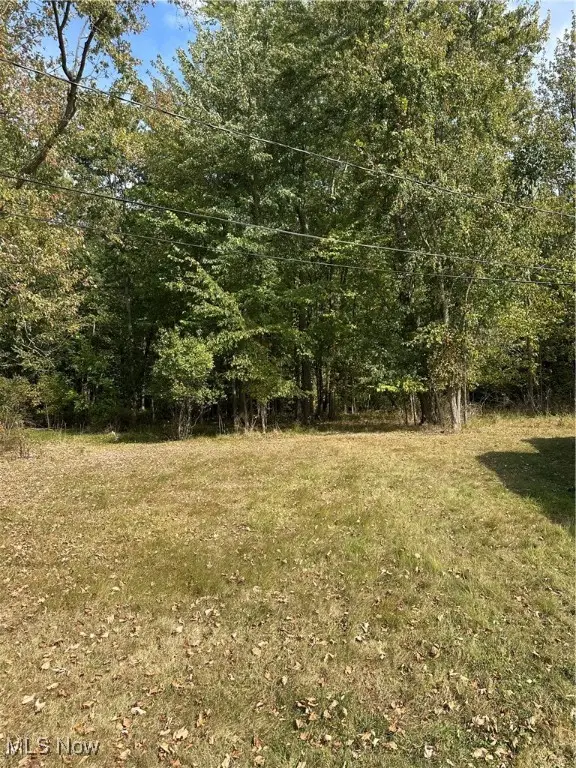 Walnut Drive, Chippewa Lake, OH 44215 - Image #2