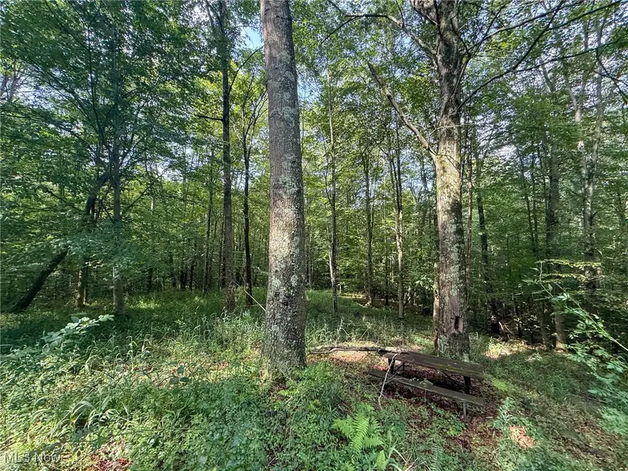 Twp Rd 273, Shawnee, OH 43782 - Image #3