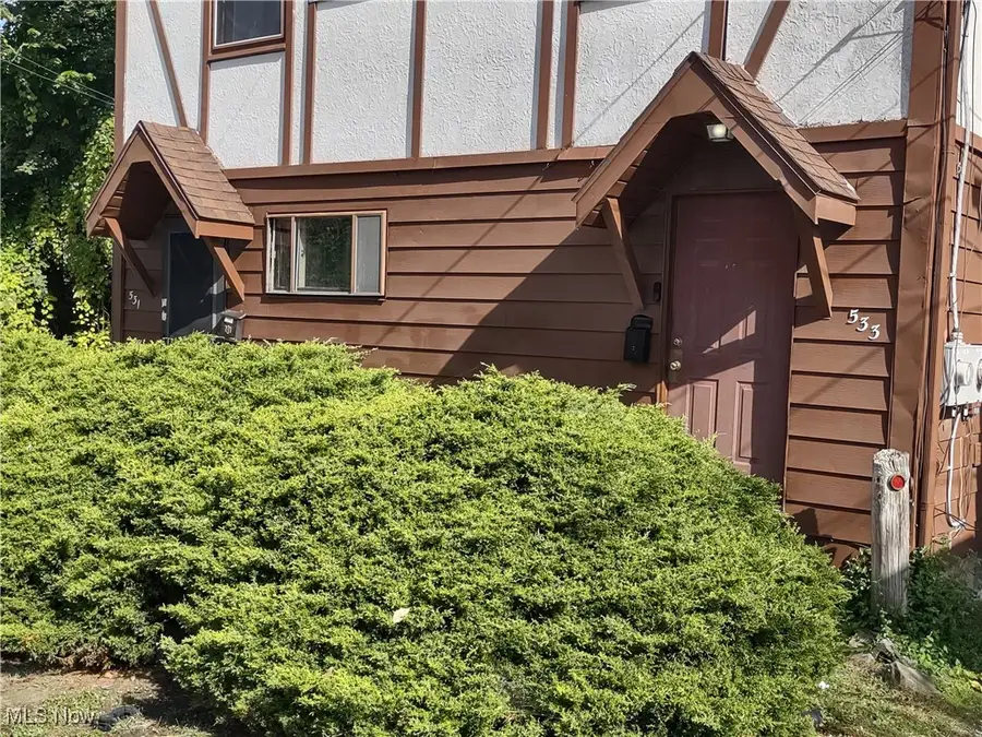 531-533-535-539 Allyn Street, Akron, OH 44311 - Image #3