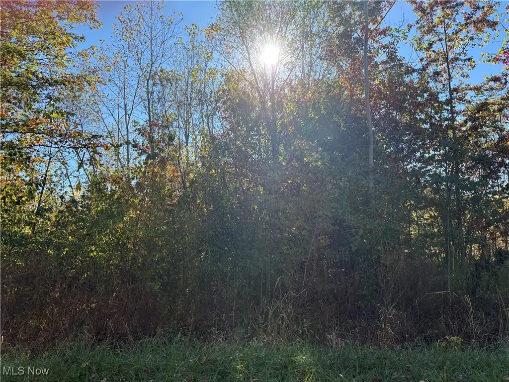 Pearl Avenue, Lorain, OH 44055 - Image #1