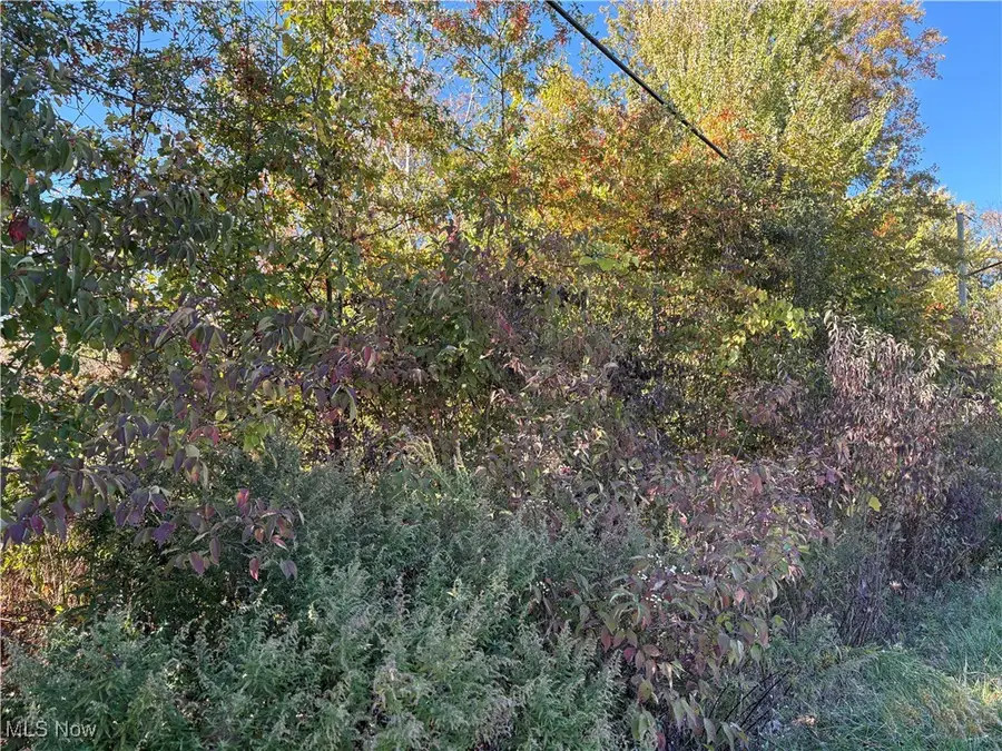 Pearl Avenue, Lorain, OH 44055 - Image #3