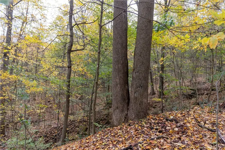 8800 Us-62, Killbuck, OH 44637 - Image #3