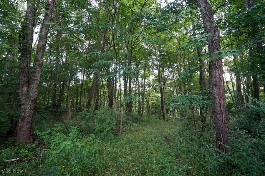 Township Rd 51, Somerset, OH 43783 - Image #3