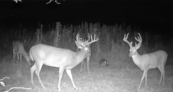 Emerick Road, Kensington, OH 44427