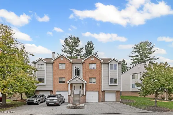 339 Village Pointe Drive #4, Akron, OH 44313