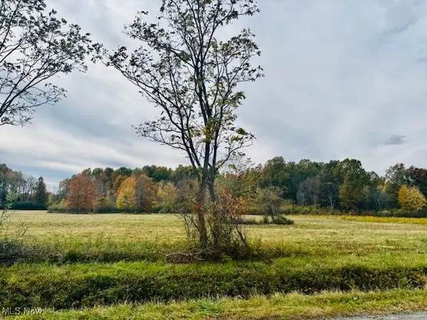 0 Naylor Lloyd Road, Girard, OH 44420