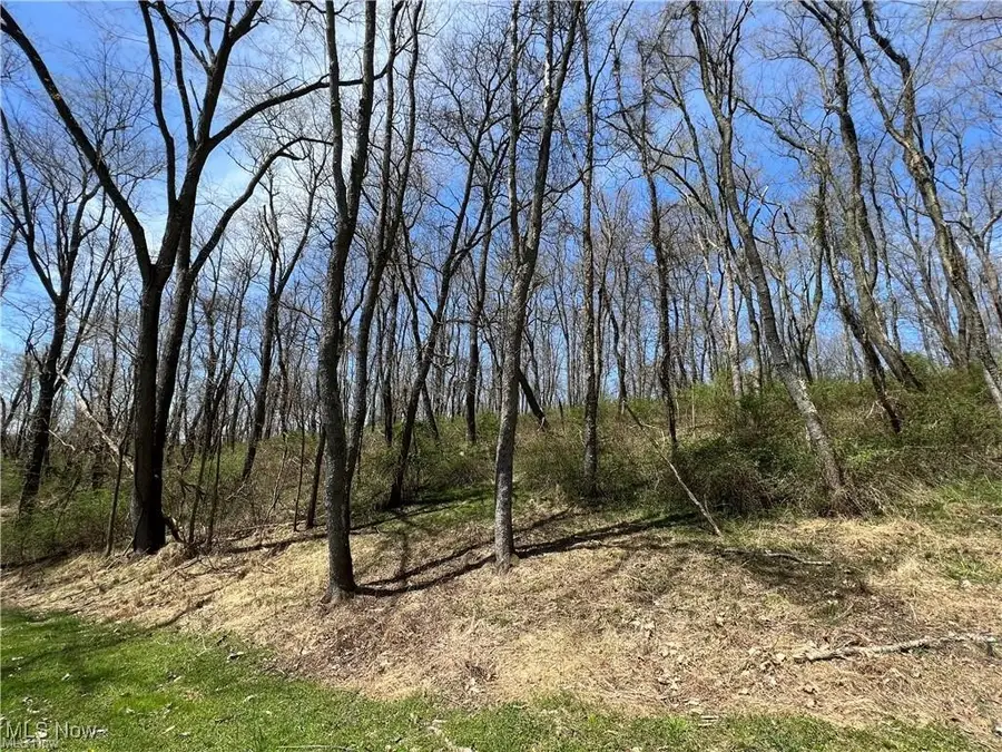 TBD Derby Drive, New Cumberland, WV 26047 - Image #2