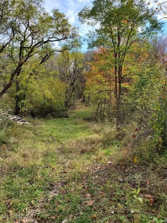 Huntoon Road, Painesville, OH 44077 - Image #3