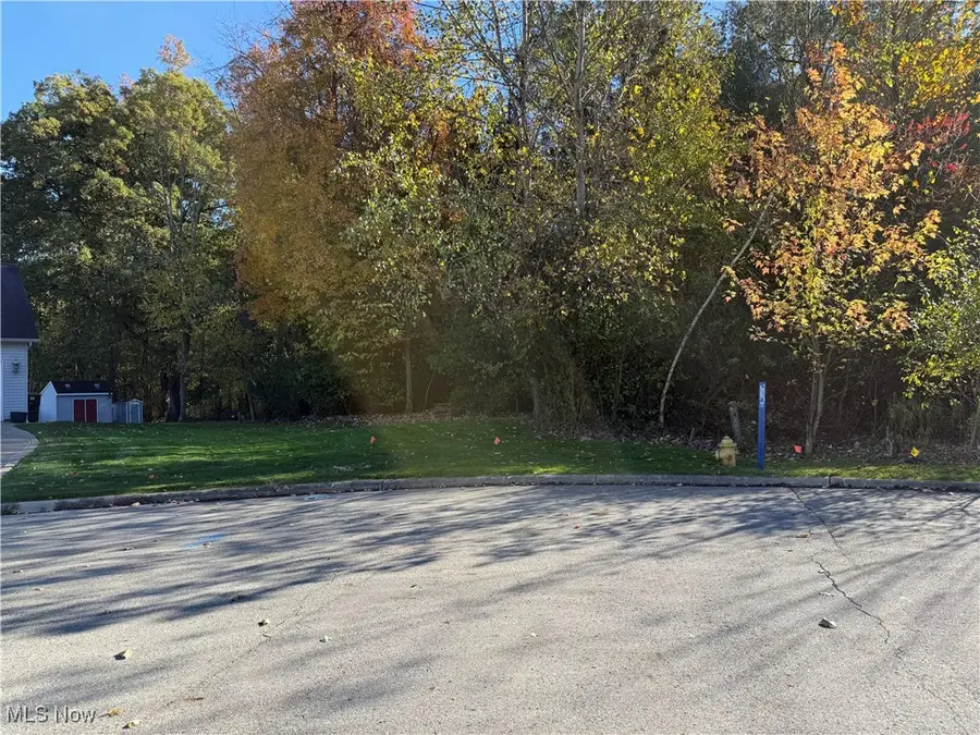 Birch Run Drive, Warren, OH 44483 - Image #3