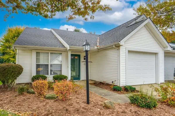 1111 Lake Meadow Lane, Brunswick, OH 44212