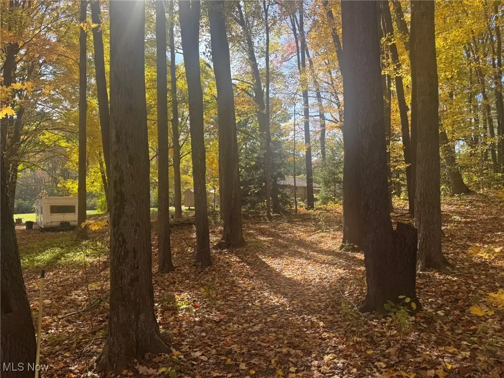 Infirmary Road, Mantua, OH 44255 - Image #1