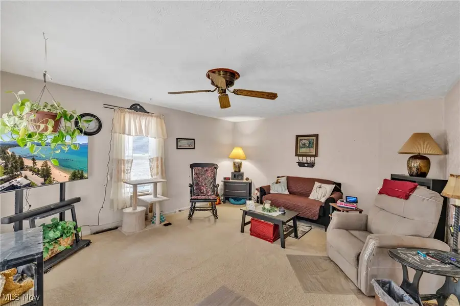 3071 Elderberry Avenue, Portage Lakes, OH 44319 - Image #3