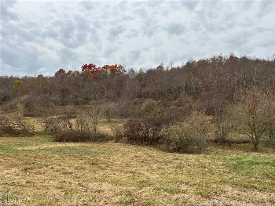 86750 Cramblett Road, Scio, OH 43988 - Image #2