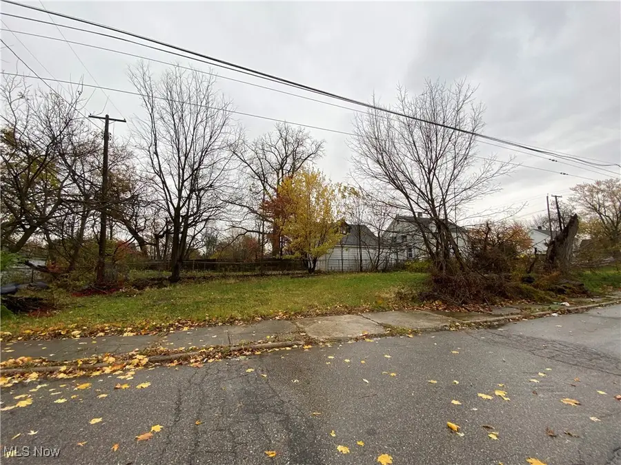 12625 Luke Avenue, Cleveland, OH 44120 - Image #2