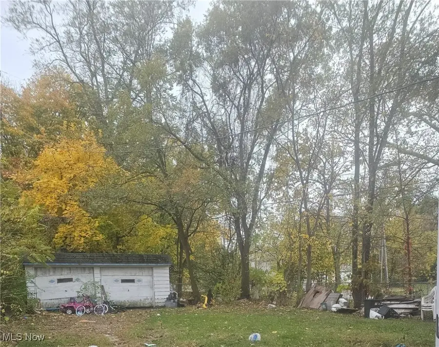 7106 Lawnview Avenue, Cleveland, OH 44103 - Image #3