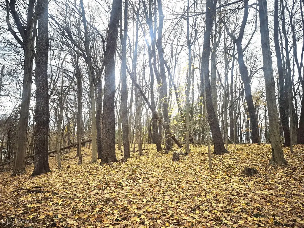 Parcel 1 Auburn Road, Chardon, OH 44024 - #1