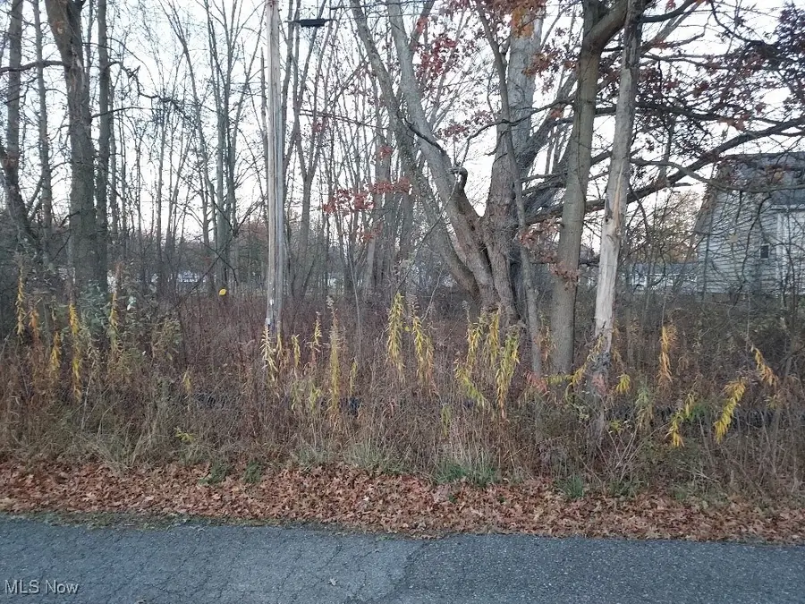 Manchester Avenue, Lake Milton, OH 44429 - Image #3