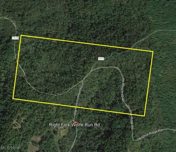 Wolfe Run Road, Belleville, WV 26133