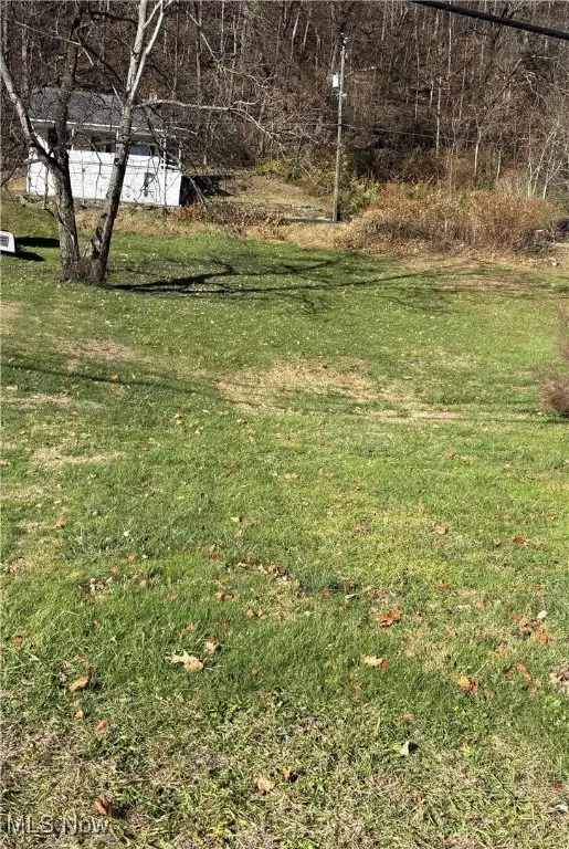 448 Market Street, Clarington, OH 43915 - Image #1