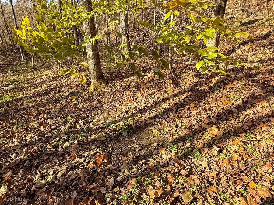 Deaver Rd, McConnelsville, OH 43756 - Image #2