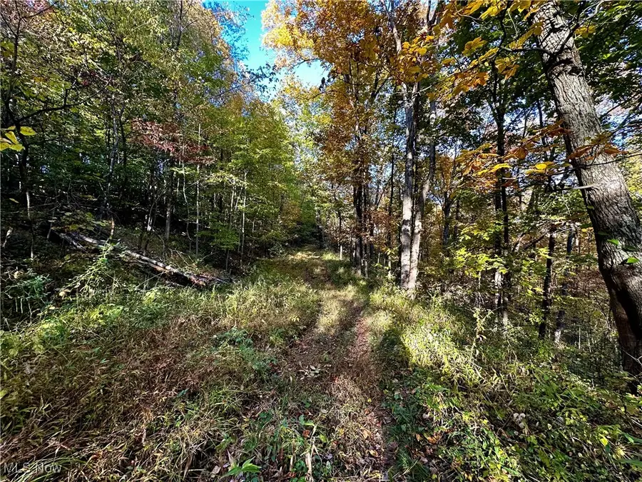 County Line Road, Saint Marys, WV 26170 - Image #2