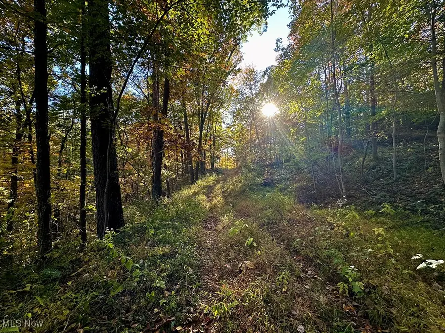 County Line Road, Saint Marys, WV 26170 - Image #3