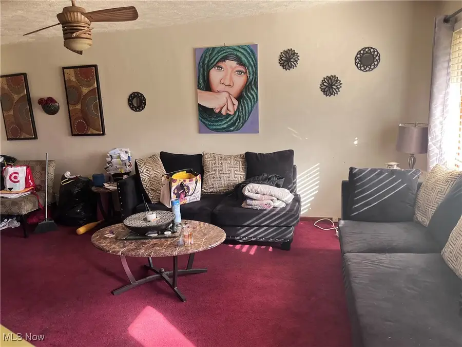 27601 Mills Avenue, Euclid, OH 44132 - Image #2