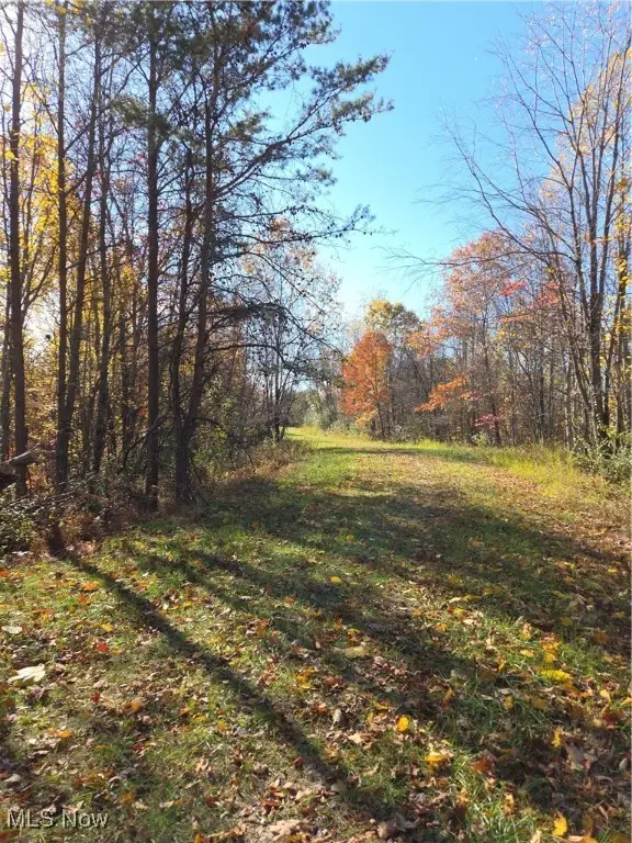 Glendale Rd, Ellenboro, WV 26346 - Image #2