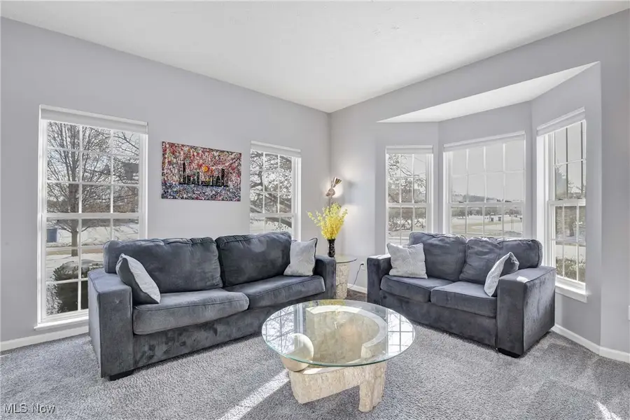 38698 Country Meadow Way, North Ridgeville, OH 44039 - Image #2