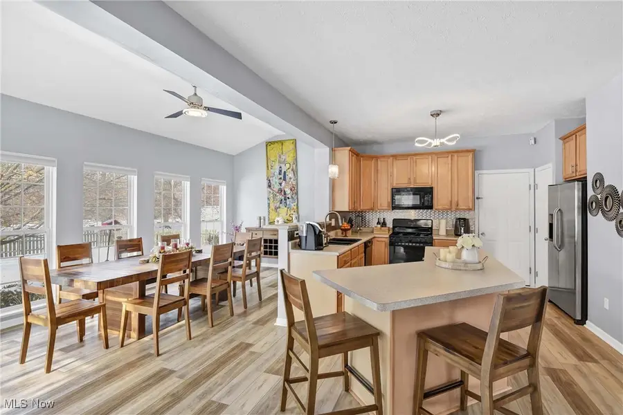 38698 Country Meadow Way, North Ridgeville, OH 44039 - Image #3