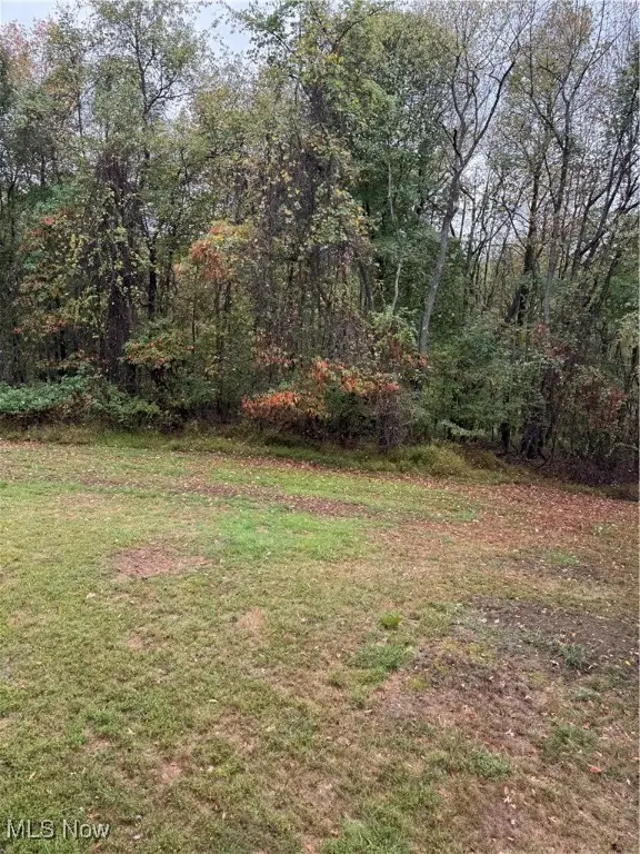 204 Reichart Avenue #3, Wintersville, OH 43953 - Image #1