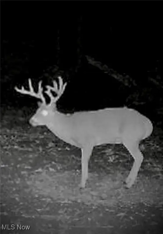 333 E Main Street, Salineville, OH 43945 - Image #3