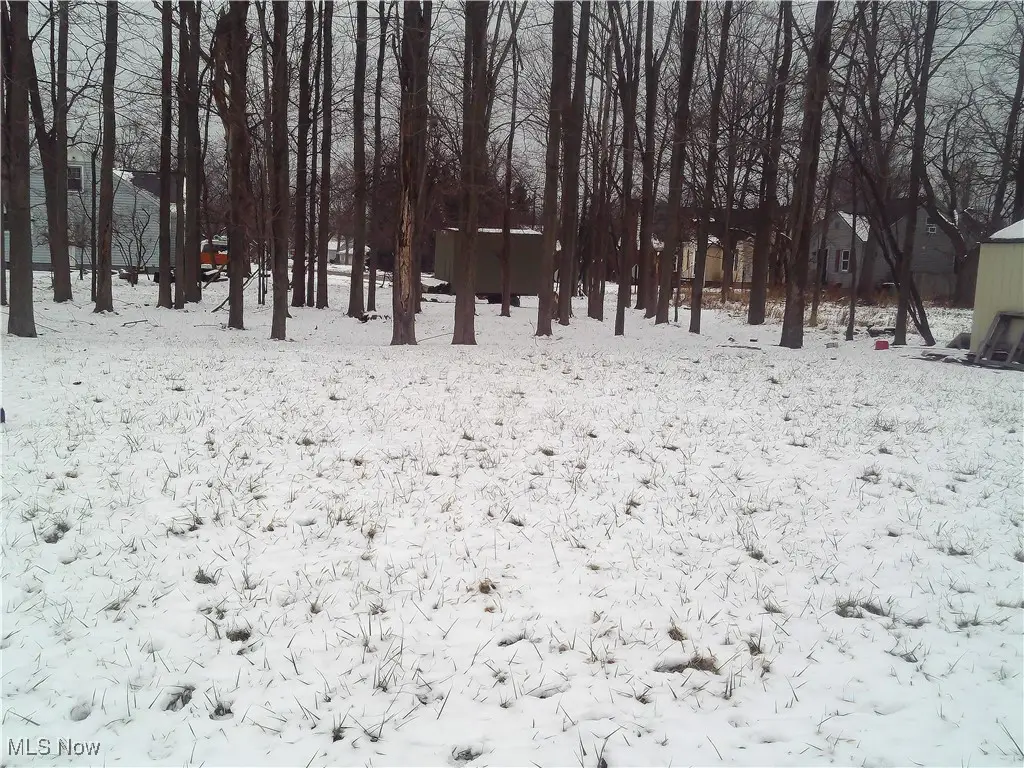 Arianna Avenue, Lorain, OH 44052 - Image #1