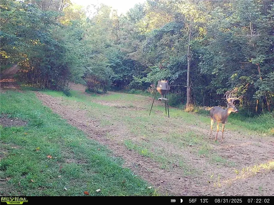 44603 Roy Bower Road, Sardis, OH 43946 - Image #2