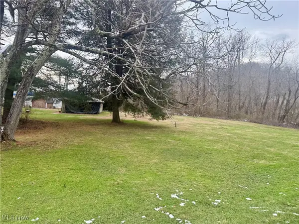 0 Wegee Lane, Shadyside, OH 43947