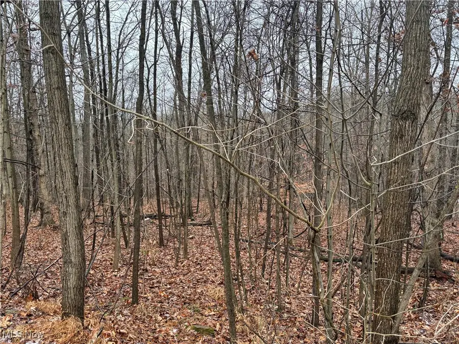 Pert Hill Road, Hopewell, OH 43746 - Image #2