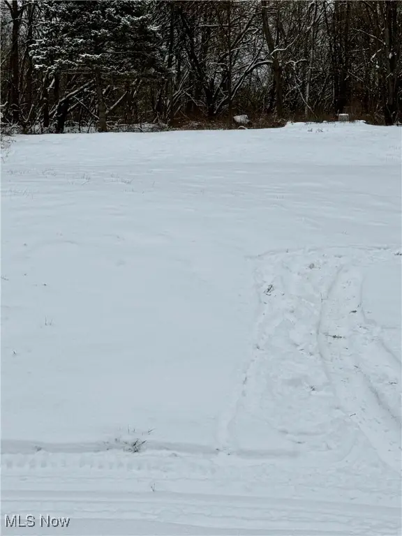 3028 Dearborn Street, Youngstown, OH 44510 - Image #2