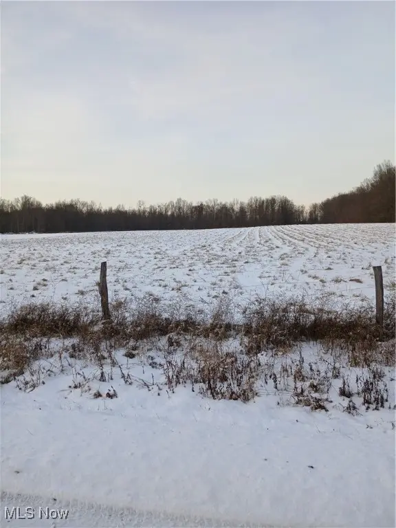 Selkirk Bush Road, Newton Falls, OH 44444 - Image #2