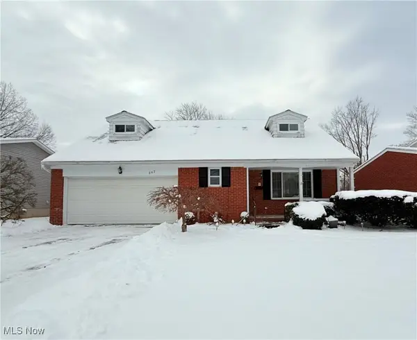 247 Georgia Avenue, Elyria, OH 44035