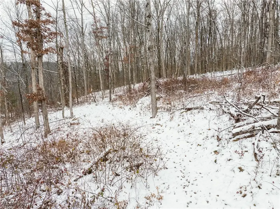 Se Deerhorn Road, Tippecanoe, OH 44699 - Image #2