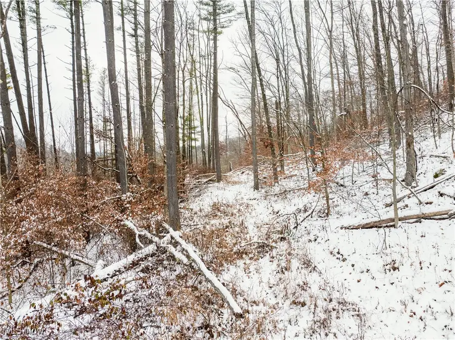 Se Deerhorn Road, Tippecanoe, OH 44699 - Image #3