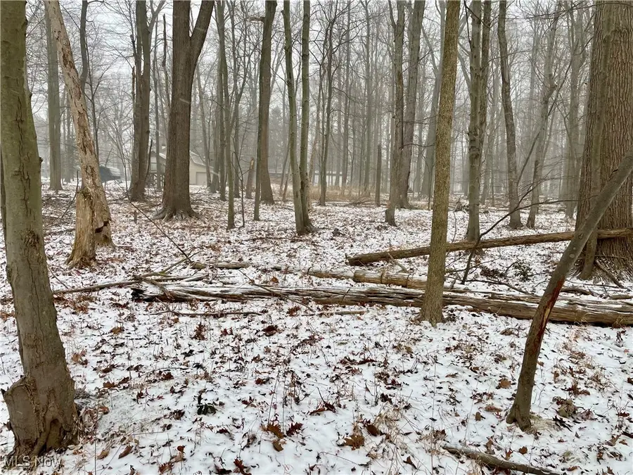 Collins Road, Mentor, OH 44060 - Image #3