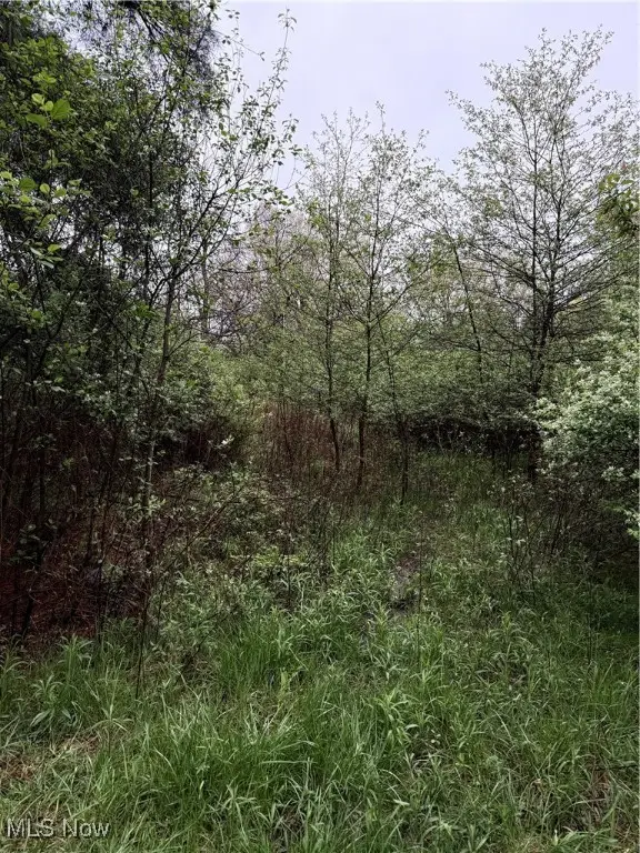 Durst Drive, Cortland, OH 44410 - Image #2